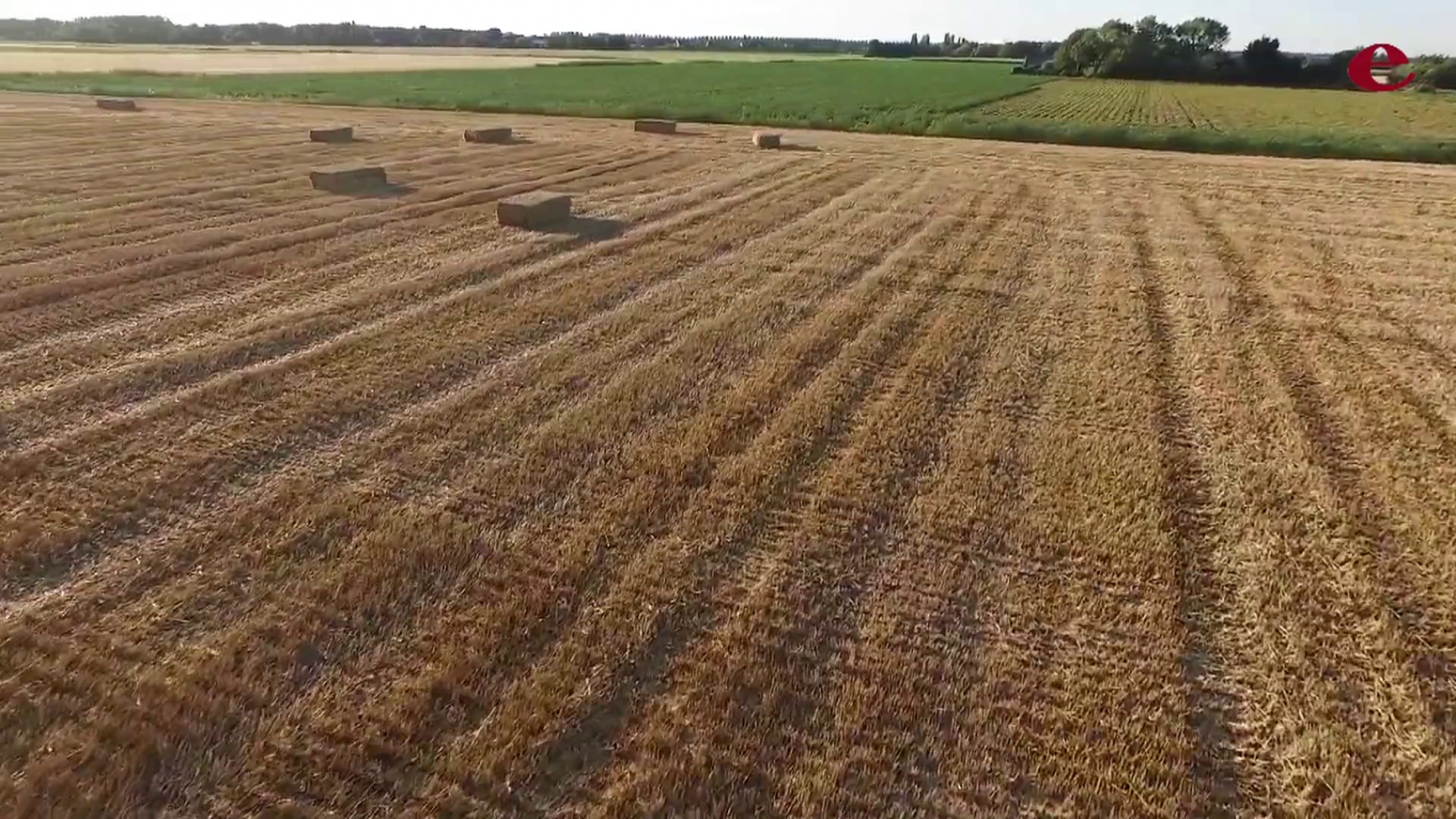 Mexico agro video 
