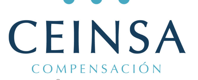 CEINSA