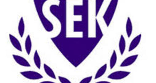 descarga (2)